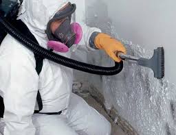 Asbestos and Lead Testing During Mold Inspection in Fort Mill, SC